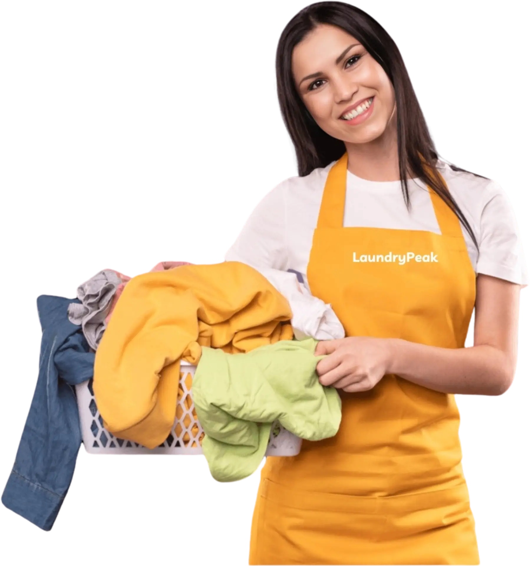 Professional dry cleaning service